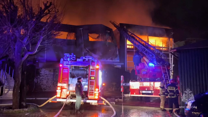 Из горящего магазина в Ялте спасли двух котов