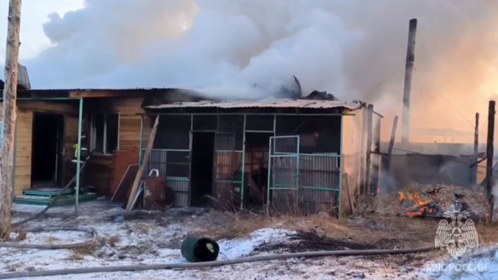 В Хакасии возник пожар в частном приюте для животных