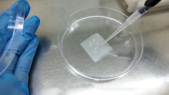 Томские ученые разработали безопасную пленку для упаковки продуктов