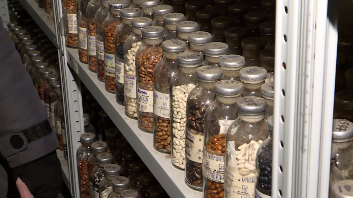 В якутское криохранилище доставят семена из Белоруссии, Казахстана и Киргизии