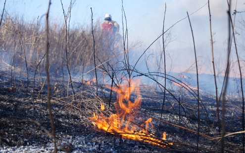 Жителям Подмосковья напомнили о штрафах во время особого противопожарного режима