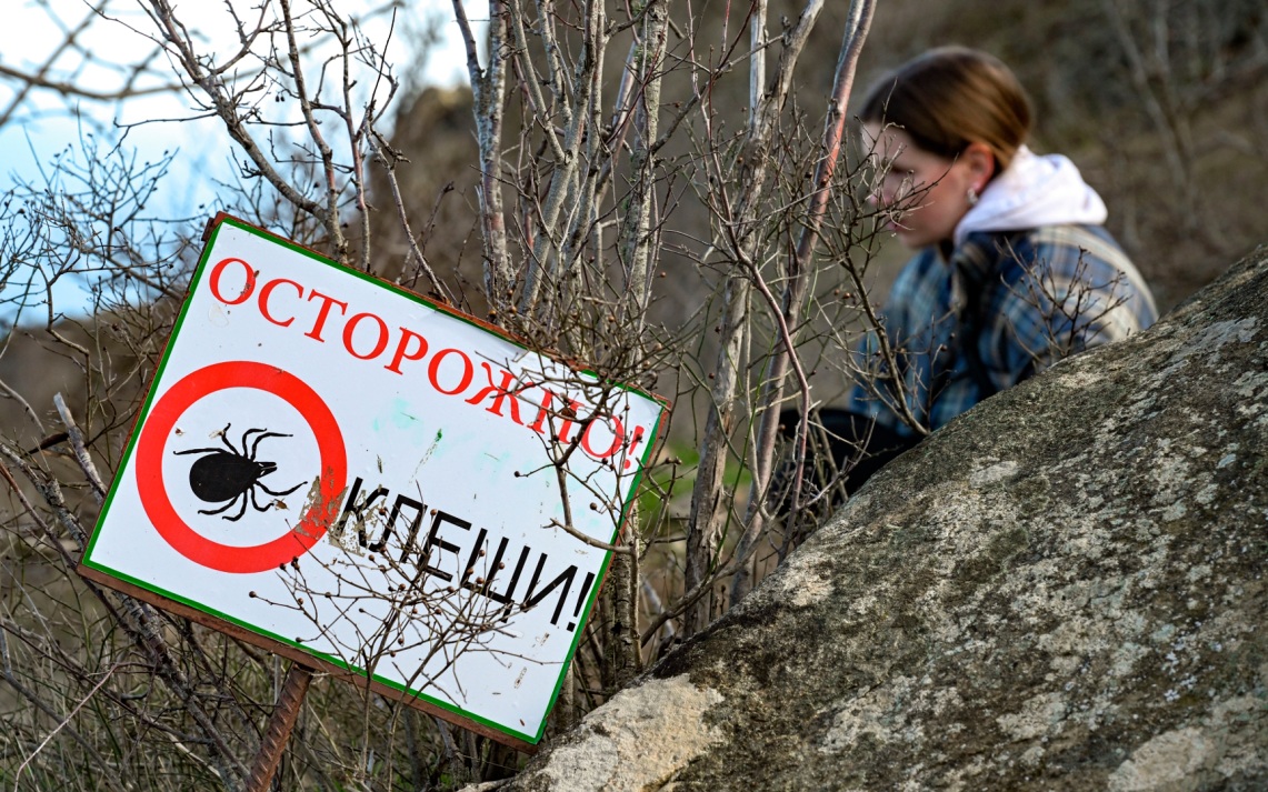 Клещи могут обнаруживать жертву на расстоянии до 10 м Клещи могут обнаруживать жертву на расстоянии до 10 м